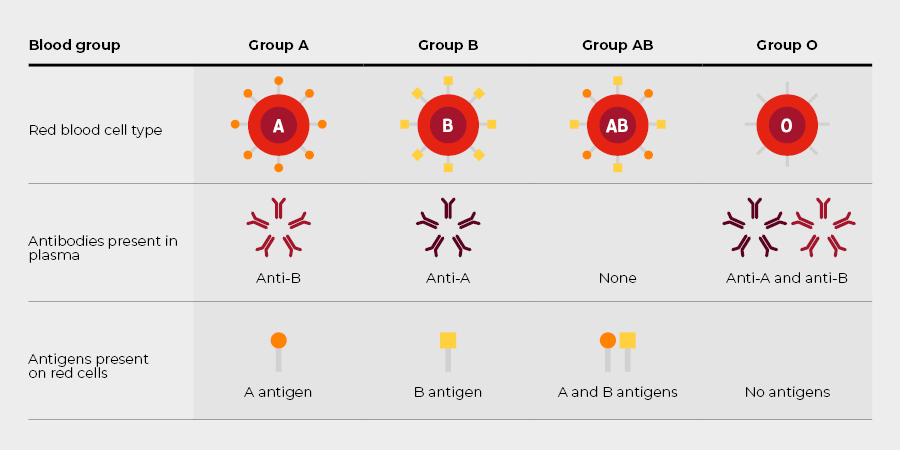 Blood Group Antigen